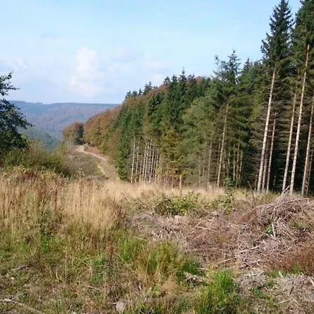 Holiday home Landhaus Am Bach In Winterberg-silbach *